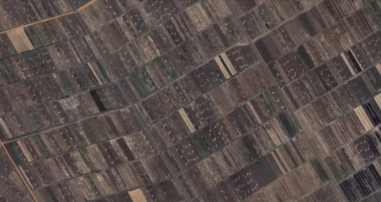 Why Do We Grow What We Don’t Eat and Import What We Do Eat in Sudan and the Global South