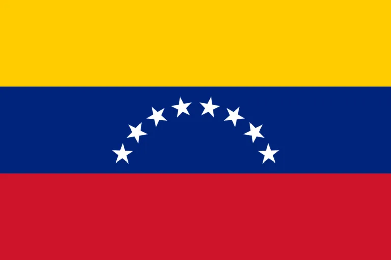 Global Pan African Movement Stands in Solidarity with the People of Venezuela